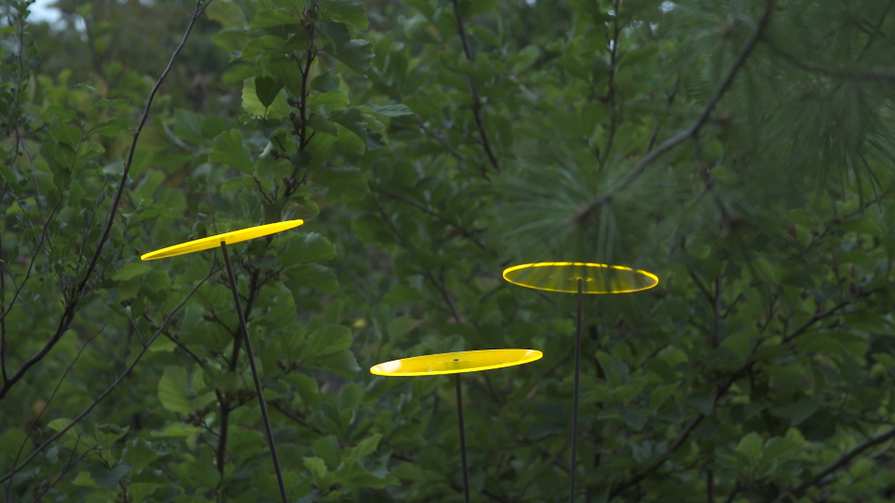 Tente De Jardin - ATYHAO - Modèle étoile - Diamètre 14 M - Hauteur 5 M - Protection UV