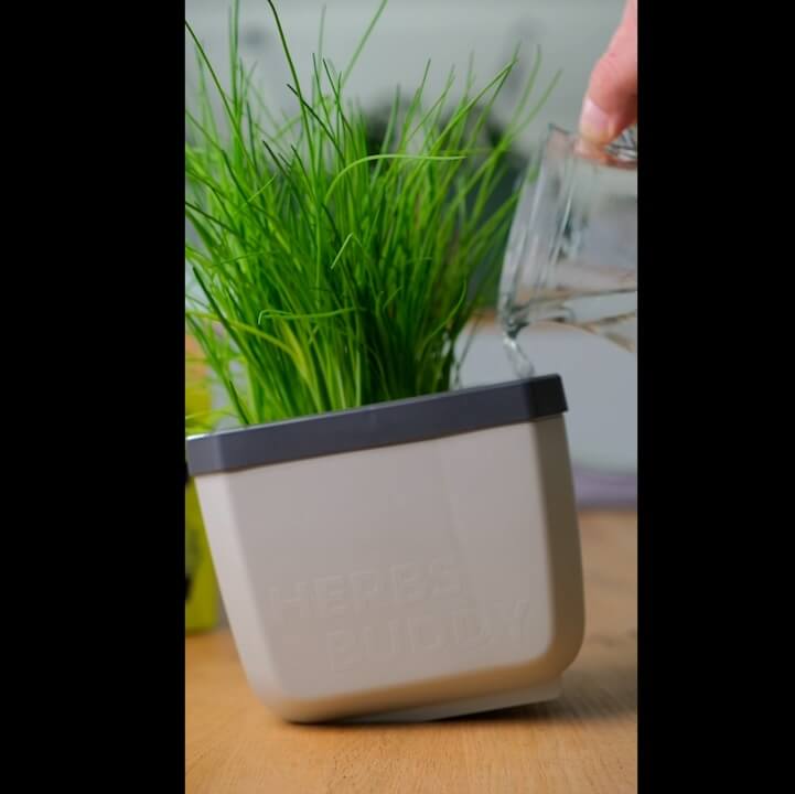 Pots à herbes aromatiques avec rappel d’arrosage, lot de 3 pièces