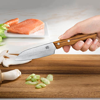 Damast-Messer Die Schärfe und Schnitthaltigkeit grosser Damaszener-Messer – jetzt auch als Schäl- und Gemüsemesser.