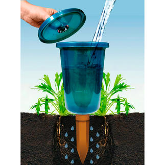 Hydro Cup Bewässerungshilfe, 4er-Set Das bessere Pflanzen-Bewässerungssystem. Bequem, sparsam, effizient.