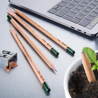 Nachhaltige Pflanzbleistifte, 5er-Set Der wohl erste pflanzbare Bleistift der Welt. Mit Kräuter- und Blumensamen. Nachhaltig, umweltschonend und schön.