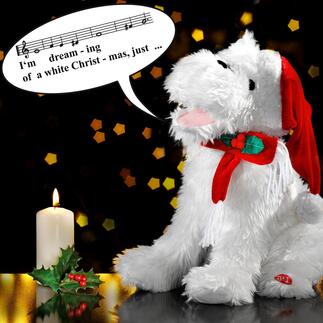 Singender Weihnachtshund Der kleine Charmeur singt für Sie den Welthit „White Christmas“ – mit inbrünstiger Mimik und Gestik.