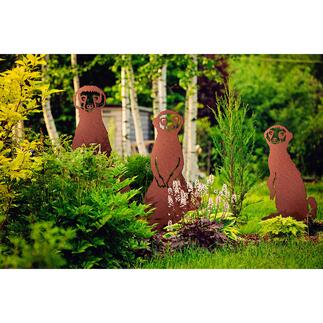 Gartenstecker Erdmännchen, 3er-Set Die putzigen Steppenbewohner Afrikas – jetzt als Bodenstecker-Motive für Ihren Garten.