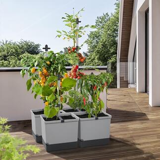 Pflanzturm Der optimale Platz für Kletterpflanzen – auf kleinstem Raum. Ideal für Balkon, Terrasse, Loggia, eine Nische im Garten, ...