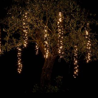 Kaskaden-Lichterkette Das Highlight Ihrer Weihnachtsdekoration: märchenhafte Lichtkaskaden für innen und aussen.