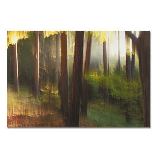Sabine Wenzel – Der deutsche Wald Ein typischer Wenzel: Einzigartige Kombination von Fotografie und Verwischung auf Leinwand. Die erste Edition von Sabine Wenzel. 12 Exemplare. Masse: 125 x 85 cm