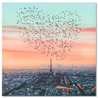 Robert Jahns – Paris Birds Robert Jahns: Einer der populärsten Instagram-Stars. 30.000 Likes! Paris Birds – jetzt als Leinwand-Edition. Exklusiv bei Pro-Idee. Masse: 100 x 100 cm
