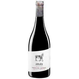 Cuesta del Herrero 2020, Pago Aylés, Cariñena, Spanien Die Entdeckung aus der höchsten Klassifizierung Spaniens.