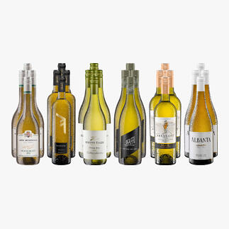 Weinsammlung - Die kleine Weisswein-Sammlung Sommer 2024, 24 Flaschen Wenn Sie einen kleinen, gut gewählten Weinvorrat anlegen möchten, ist dies jetzt besonders leicht.