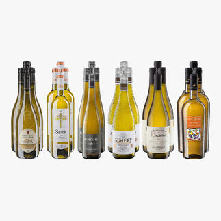 Weinsammlung - Die kleine Weisswein-Sammlung Herbst 2024, 24 Flaschen Wenn Sie einen kleinen, gut gewählten Weinvorrat anlegen möchten, ist dies jetzt besonders leicht.
