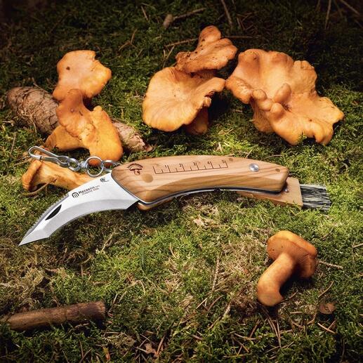 Maserin Pilzmesser mit Holzgriff auf Waldboden