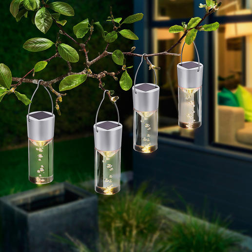 Tiges ou Suspensions solaires LED Ces lampes baignent de lumière votre jardin ou votre terrasse.