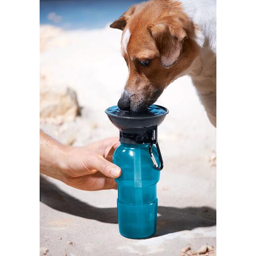 AutoDogMug™ Hundetrinkflasche Überall: frisches, sauberes Wasser für Ihren Hund.