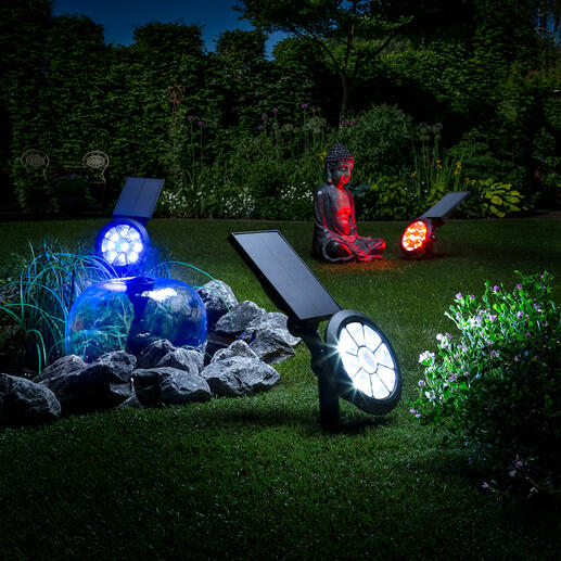 Solar-Gartenstrahler mit Farbwechsler Starker, sensorgesteuerter Gartenstrahler. Multicolor Lightshow. Null Stromkosten. In 7 Farben oder mit Farbwechsel.