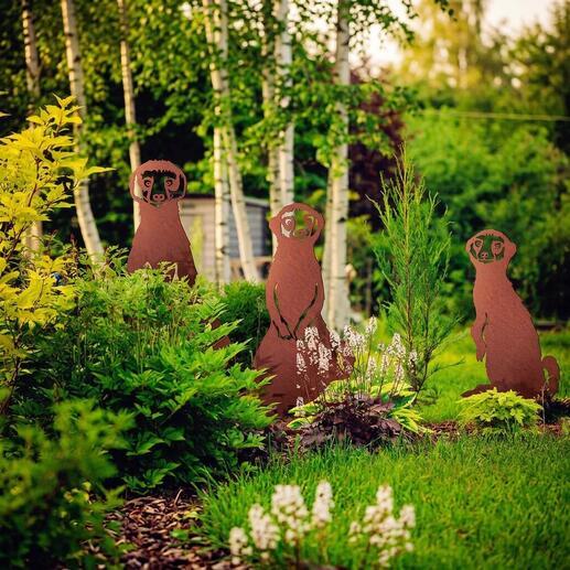 Erdmännchen-Gartenstecker Set in einem Garten mit verschiedenen Pflanzen.
