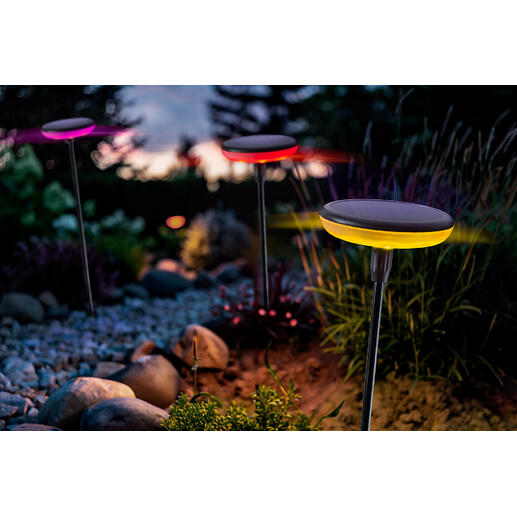 Lampes solaires avec changement de couleurs, lot de 3 pièces Une danse fascinante de lumières et de couleurs : les lampes solaires oscillantes pour votre jardin.