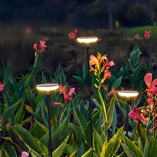 Lampes solaires avec changement de couleurs, lot de 3 pièces Une danse fascinante de lumières et de couleurs : les lampes solaires oscillantes pour votre jardin.