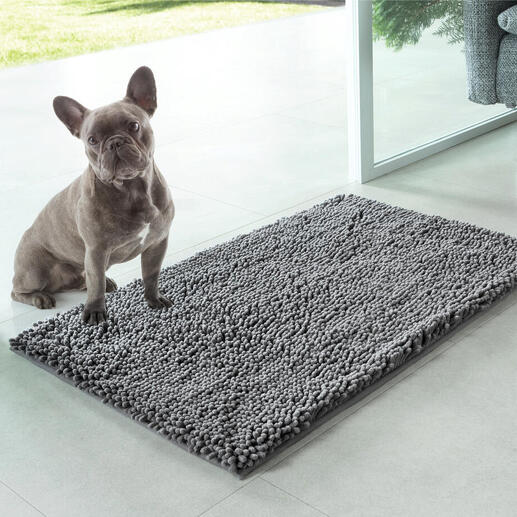 Hunde auf einer Haustier-Schmutzmatte vor einer Glastür.