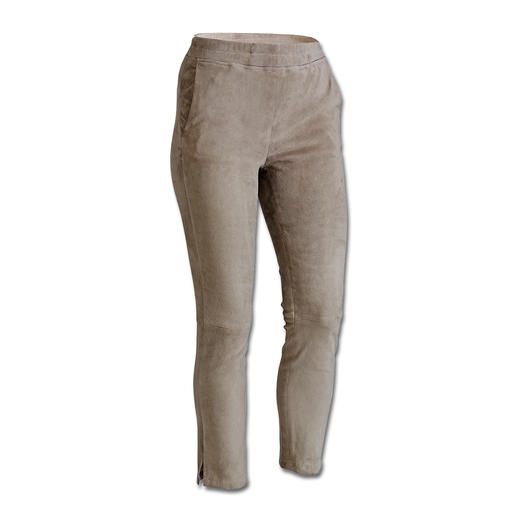 Taupe Taupe