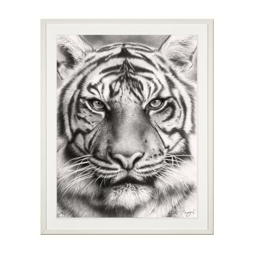 Koshi Takagi – Eyes of the tiger Fotorealistische Bleistiftzeichnung. Mit über 1 Million handgemalten Strichen. Koshi Takagis erste Edition seiner Raubkatzen-Serie. 90 Exemplare. Masse: 90 x 120 cm