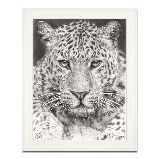 Koshi Takagi – Leo Fotorealistische Bleistiftzeichnung. Mit über 1 Million handgemalten Strichen. Koshi Takagis dritte Edition seiner Raubkatzen-Serie. 30 Exemplare. Masse: gerahmt 110 x 140 cm