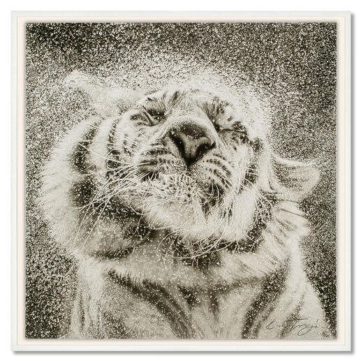Koshi Takagi – Tiger Fotorealistische Bleistiftzeichnung. Mit über 1 Million handgemalten Strichen. Koshi Takagis neueste Edition. 40 Exemplare. 
Masse: gerahmt 103 x 103 cm