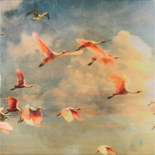 Die gleiche Szene wie vorher mit vielen fliegenden Flamingos.