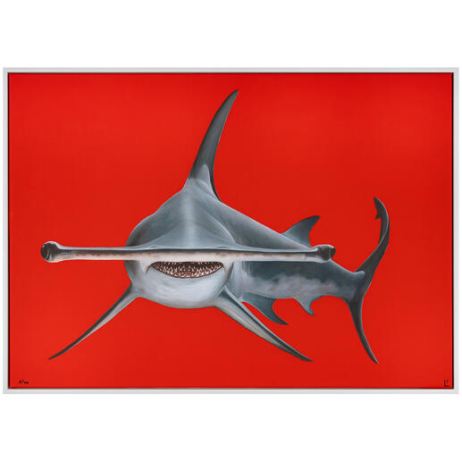 Lea Fricke – Hammerhead Shark Lea Frickes fotorealistische Hommage an die schützenswerten Meeresbewohner.  Nach erfolgreichem Debüt nun die dritte Edition des Ausnahme-Talents. Exklusiv im Pro-Idee Kunstformat. Masse: 124 x 88,5 cm.