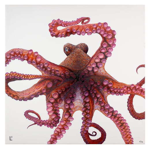 Nahaufnahme eines detaillierten Oktopus-Gemäldes auf Leinwand.