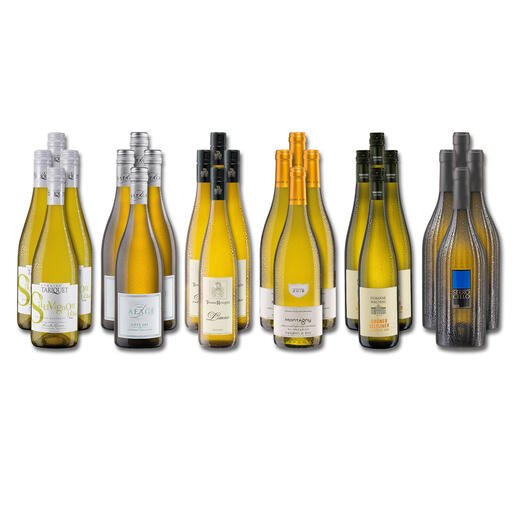 Weinsammlung - Die kleine Weisswein-Sammlung Winter 2021, 24 Flaschen Wenn Sie einen kleinen, gut gewählten Weinvorrat anlegen möchten, ist dies jetzt besonders leicht.