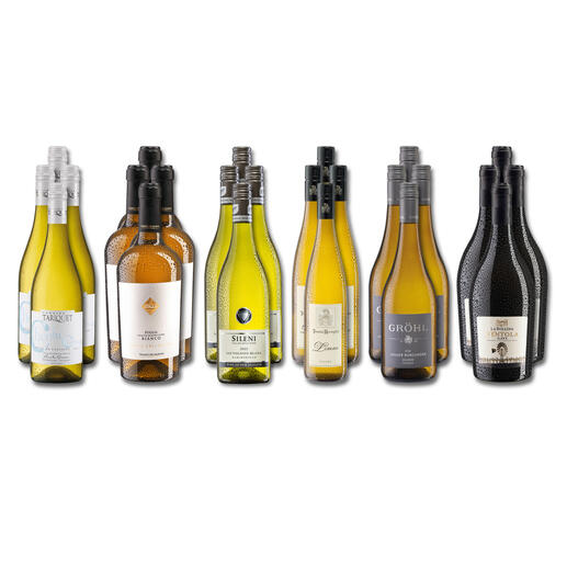 Weinsammlung - Die kleine Weisswein-Sammlung Frühjahr 2022, 24 Flaschen Wenn Sie einen kleinen, gut gewählten Weinvorrat anlegen möchten, ist dies jetzt besonders leicht.