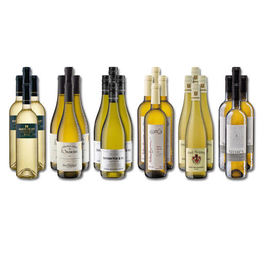 Weinsammlung - Die kleine Weisswein-Sammlung Sommer 2022, 24 Flaschen Wenn Sie einen kleinen, gut gewählten Weinvorrat anlegen möchten, ist dies jetzt besonders leicht.