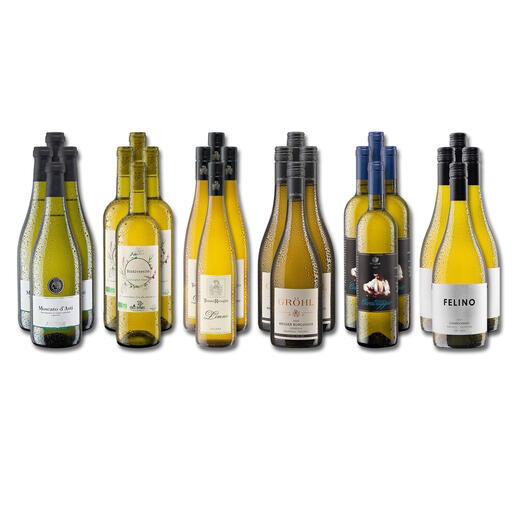 Weinsammlung - Die kleine Weisswein-Sammlung Herbst 2022, 24 Flaschen Wenn Sie einen kleinen, gut gewählten Weinvorrat anlegen möchten, ist dies jetzt besonders leicht.