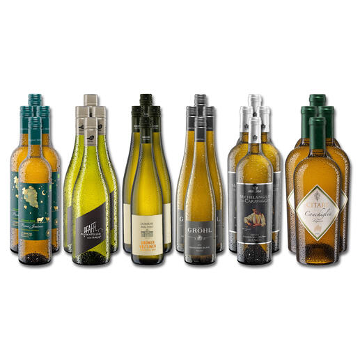 Weinsammlung - Die kleine Weisswein-Sammlung Hochsommer 2023, 24 Flaschen Wenn Sie einen kleinen, gut gewählten Weinvorrat anlegen möchten, ist dies jetzt besonders leicht.