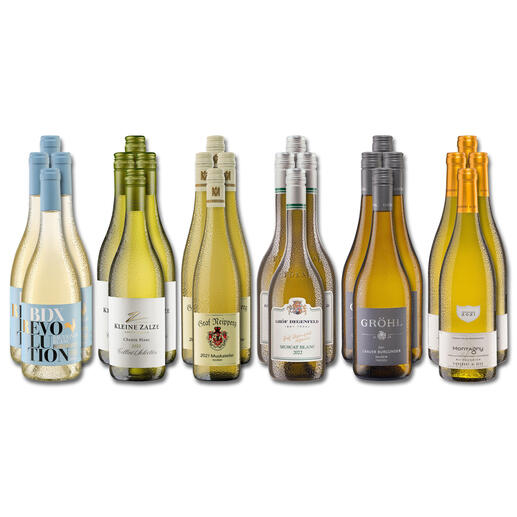 Weinsammlung - Die kleine Weisswein-Sammlung Herbst 2023, 24 Flaschen Wenn Sie einen kleinen, gut gewählten Weinvorrat anlegen möchten, ist dies jetzt besonders leicht.