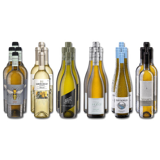 Weinsammlung - Die kleine Weisswein-Sammlung Winter 2023, 24 Flaschen Wenn Sie einen kleinen, gut gewählten Weinvorrat anlegen möchten, ist dies jetzt besonders leicht.