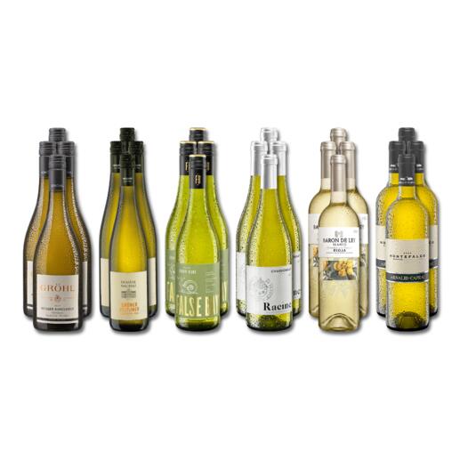Weinsammlung - Die kleine Weisswein-Sammlung Frühjahr/Sommer 2024, 24 Flaschen Wenn Sie einen kleinen, gut gewählten Weinvorrat anlegen möchten, ist dies jetzt besonders leicht.