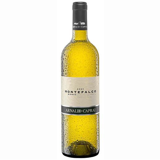 Flasche Montefalco Bianco 2023 mit elegantem Design und gutem Preis-Leistungs-Verhältnis.