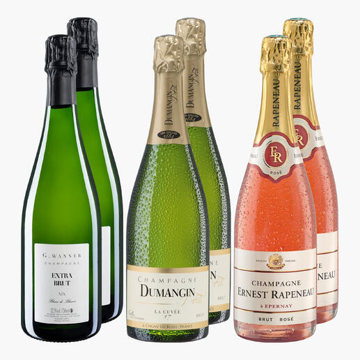Set Champagner-Geheimtipps, das verschiedene Flaschen Champagner umfasst.