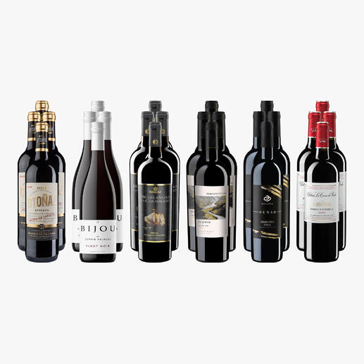 Weinsammlung mit 24 Flaschen kleiner Rotweine für den Sommer 2025.