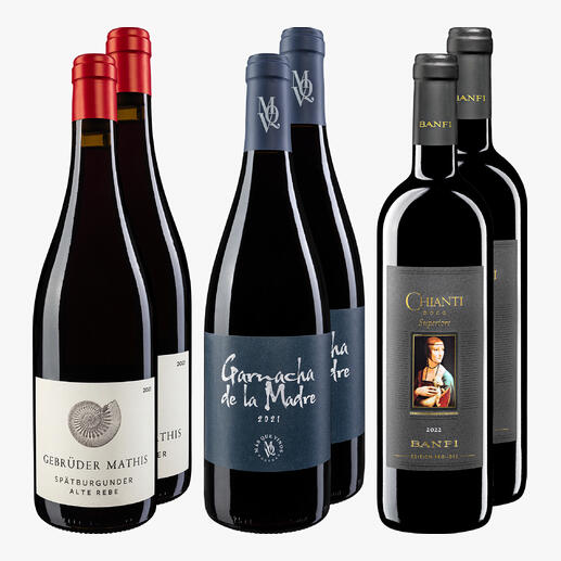 Set von fünf Flaschen roter Weine, ideal für Sommerabende.