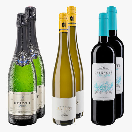 Set von fünf Flaschen Weinen für einen Grillabend.