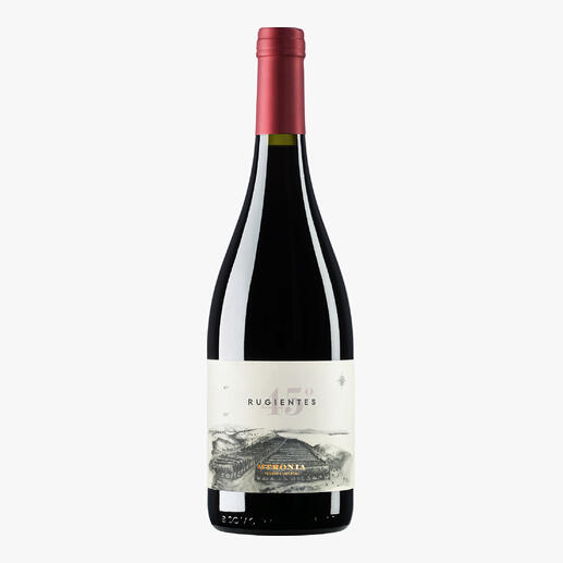 Flasche Otronia 45 Rugientes Pinot Noir 2021 im rustikalen Stil.