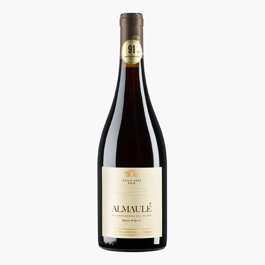 Almaule Pais, 2021, Flasche mit modernem Etikett