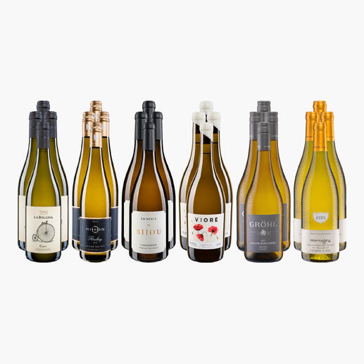 Vierundzwanzig Flaschen Weißwein in verschiedenen Designs und Etiketten, präsentiert auf hellem Hintergrund.