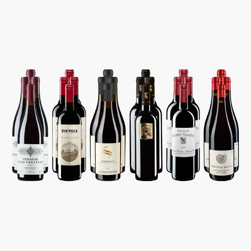 Verschiedene Flaschen einer Rotwein-Sammlung für Genießer, auf einem weißen Hintergrund.