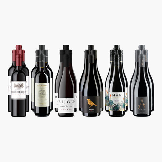 Sammlung von 24 Flaschen Rotwein in verschiedenen Designs