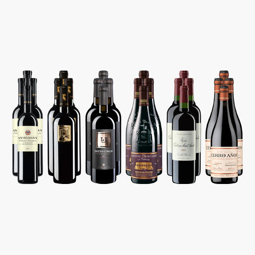 Sechs Flaschen der kleinen Rotwein-Sammlung für anspruchsvolle Genießer Sommer 2026.