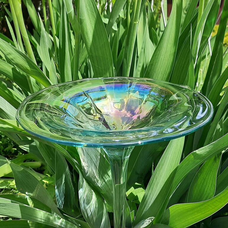 Bain d’oiseau arc-en-ciel en verre Regenbogenglas-Vogeltränke inmitten von hohen Pflanzen.