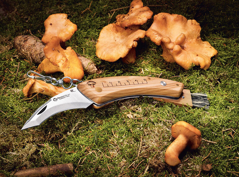 Maserin Pilzmesser mit Holzgriff auf Waldboden